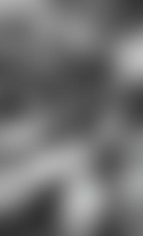 Пазбавілі ад паноў: чаму Чырвоную Армію ў Заходняй Беларусі сустракалі кветкамі